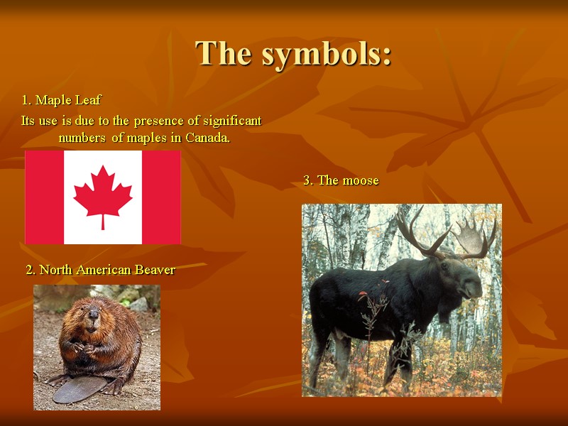 The symbols: 1. Maple Leaf Its use is due to the presence of significant